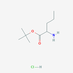 Tert-butyl 2-aminopentanoate hydrochloride