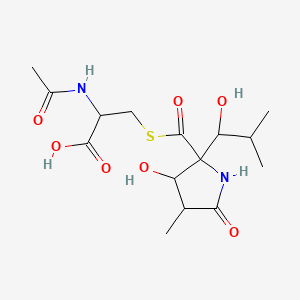 molecular formula C15H24N2O7S B13393241 2-(Acetylamino)-3-[({3-hydroxy-2-[1-hydroxy-2-methylpropyl]-4-methyl-5-oxopyrrolidin-2-yl}carbonyl)sulfanyl]propanoic acid 