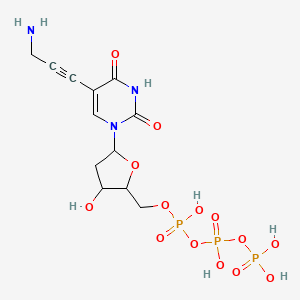 5-Propargylamino-dUTP