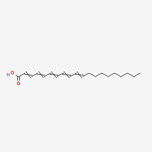 molecular formula C20H30O2 B13394593 Icosa-2,4,6,8,10-pentaenoic acid CAS No. 25378-27-2