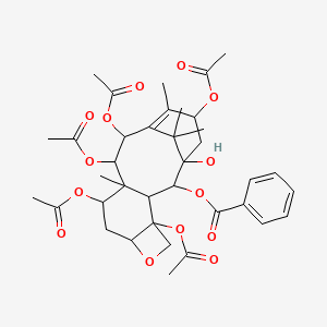 molecular formula C37H46O14 B13395203 [(1S,2S,3R,4S,7R,9S,10S,11R,12R,15S)-4,9,11,12,15-pentaacetyloxy-1-hydroxy-10,14,17,17-tetramethyl-6-oxatetracyclo[11.3.1.0^{3,10.0^{4,7]heptadec-13-en-2-yl] benzoate 