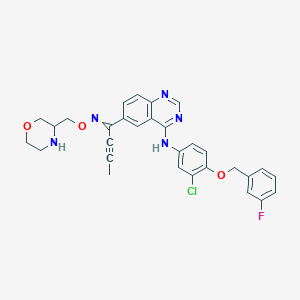 molecular formula C30H27ClFN5O3 B13395287 N-[3-chloro-4-[(3-fluorophenyl)methoxy]phenyl]-6-[N-(morpholin-3-ylmethoxy)-C-prop-1-ynylcarbonimidoyl]quinazolin-4-amine 