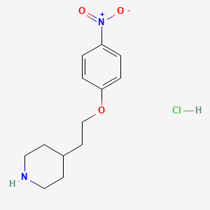 molecular formula C13H19ClN2O3 B1340097 4-[2-(4-硝基苯氧基)乙基]哌啶盐酸盐 CAS No. 1220037-90-0