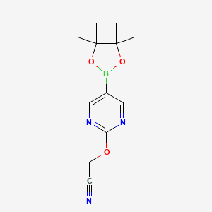 molecular formula C12H16BN3O3 B13402497 2-((5-(4,4,5,5-Tetramethyl-1,3,2-dioxaborolan-2-yl)pyrimidin-2-yl)oxy)acetonitrile 