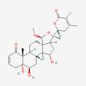 Withaphysalin S