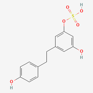 dihydroresveratrol-3-O-sulfate