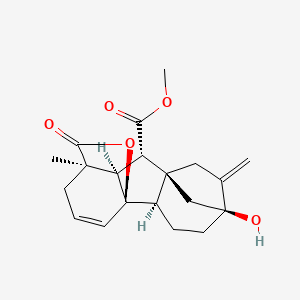 10-O-Methyl Gibberellin A95