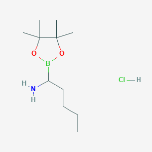 molecular formula C11H25BClNO2 B13410364 (R)-1-(4,4,5,5-Tetramethyl-1,3,2-dioxaborolan-2-yl)pentan-1-amine hydrochloride 