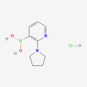 (2-(Pyrrolidin-1-yl)pyridin-3-yl)boronic acid hydrochloride