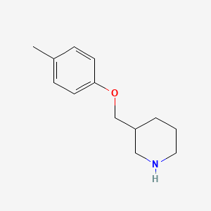 molecular formula C13H19NO B1341419 3-[(4-Methylphenoxy)methyl]piperidine CAS No. 883547-94-2