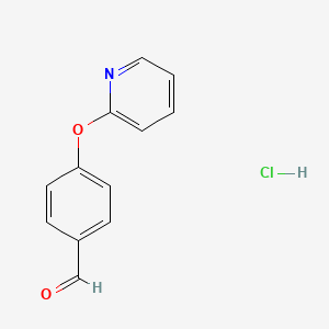 molecular formula C12H10ClNO2 B1341607 4-(Pyridin-2-yloxy)benzaldehyde hydrochloride CAS No. 1172759-99-7