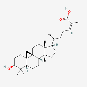 molecular formula C30H48O3 B13416676 Schisandrolic acid 