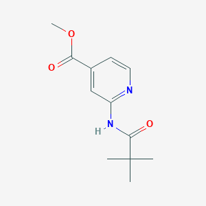 molecular formula C12H16N2O3 B1341732 2-(2,2-二甲基丙酰氨基)-异烟酸甲酯 CAS No. 470463-38-8