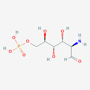 molecular formula C6H14NO8P B134176 D-グルコサミン-6-リン酸 CAS No. 3616-42-0