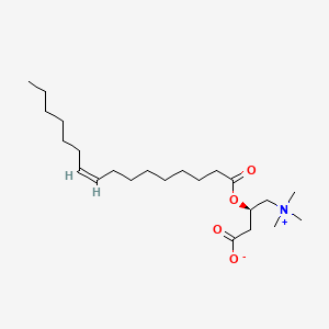 cis-9-Hexadecenoylcarnitine Inner Salt