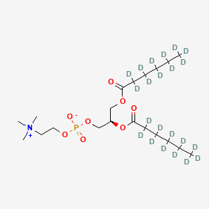 1,2-Dihexanoyl-d22-sn-glycero-3-phosphocholine