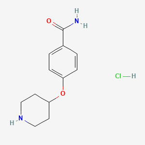 B1342173 4-(Piperidin-4-yloxy)benzamide hydrochloride CAS No. 857048-73-8