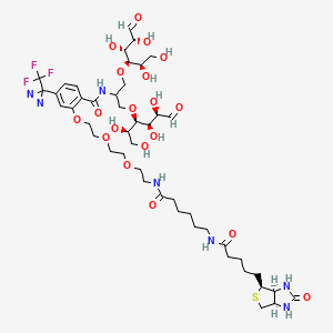 molecular formula C46H70F3N7O19S B13421967 Biotinylated Photolabeling Reagent (bio-LC-ATB-BGPA) 