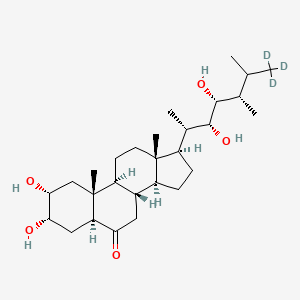 molecular formula C28H48O5 B13422007 Castasterone-d3 