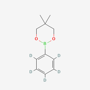 molecular formula C11H15BO2 B13422210 5,5-Dimethyl-2-(2,3,4,5,6-pentadeuteriophenyl)-1,3,2-dioxaborinane 