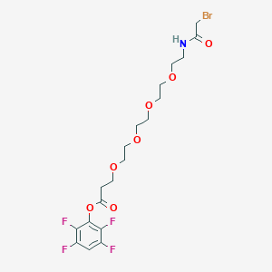 molecular formula C19H24BrF4NO7 B13424578 Bromoacetamido-PEG4-TFP ester 