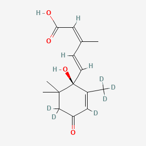 (2Z,4E)-3-methyl-5-[(1R)-3,5,5-trideuterio-1-hydroxy-6,6-dimethyl-4-oxo-2-(trideuteriomethyl)cyclohex-2-en-1-yl]penta-2,4-dienoic acid