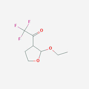 1-(2-Ethoxyoxolan-3-yl)-2,2,2-trifluoroethan-1-one