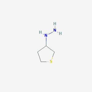 B1342702 Thiolan-3-ylhydrazine CAS No. 1016709-16-2