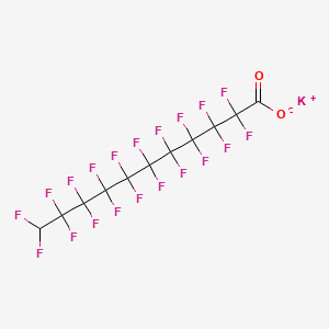 Potassium 2,2,3,3,4,4,5,5,6,6,7,7,8,8,9,9,10,10,11,11-icosafluoroundecanoate