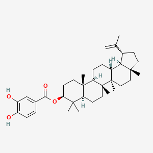 molecular formula C37H54O4 B13427662 [(1R,3aR,5aR,5bR,7aR,9S,11aR,11bR,13aR,13bR)-3a,5a,5b,8,8,11a-hexamethyl-1-prop-1-en-2-yl-1,2,3,4,5,6,7,7a,9,10,11,11b,12,13,13a,13b-hexadecahydrocyclopenta[a]chrysen-9-yl] 3,4-dihydroxybenzoate 