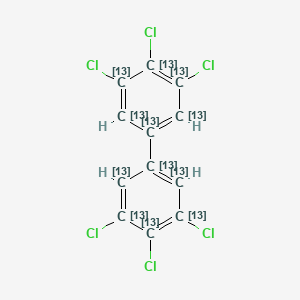 molecular formula C12H4Cl6 B13428904 1,2,3-trichloro-5-(3,4,5-trichloro(1,2,3,4,5,6-13C6)cyclohexa-1,3,5-trien-1-yl)(1,2,3,4,5,6-13C6)cyclohexa-1,3,5-triene 