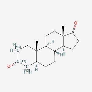 molecular formula C19H28O2 B13429964 (5S,8R,9S,10S,13S,14S)-10,13-dimethyl-2,4,5,6,7,8,9,11,12,14,15,16-dodecahydro-1H-cyclopenta[a]phenanthrene-3,17-dione 