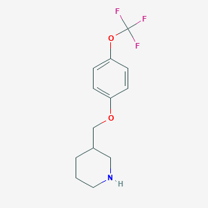 molecular formula C13H16F3NO2 B1343077 3-{[4-(Trifluoromethoxy)phenoxy]methyl}piperidine CAS No. 405090-60-0