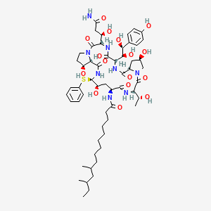 1-[(4R,5R)-N2-(10,12-Dimethyl-1-oxotetradecyl)-4-hydroxy-5-(phenylthio)-L-ornithine]-pneumocandin B0