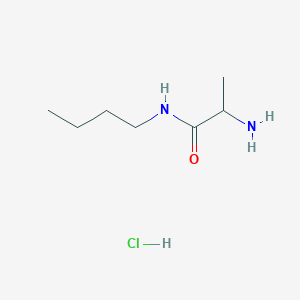 molecular formula C7H17ClN2O B1343126 2-氨基-N-丁基丙酰胺盐酸盐 CAS No. 635682-90-5