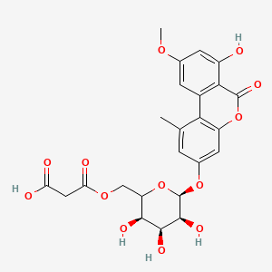 molecular formula C24H24O13 B13431494 Alternariol-9-methylether-3-beta-D-(6'-malonyl)-glucoside 