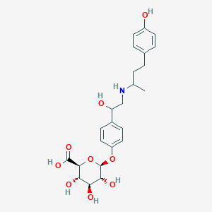 molecular formula C24H31NO9 B13432236 Ractopamine-10'-O-beta-glucuronide (Mixture of Diastereomers) 