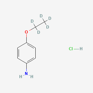 p-Phenetidine-d5 Hydrochloride