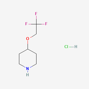 4-(2,2,2-Trifluoroethoxy)piperidine hydrochloride