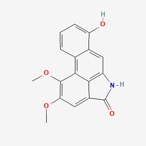 Velutinam