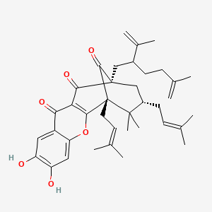 molecular formula C38H48O6 B13436447 Nujiangefolin A 