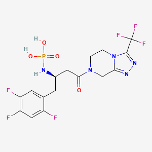 molecular formula C16H16F6N5O4P B13436656 (R)-(4-Oxo-4-(3-(trifluoromethyl)-5,6-dihydro-[1,2,4]triazolo[4,3-a]pyrazin-7(8H)-yl)-1-(2,4,5-trifluorophenyl)butan-2-yl)phosphoramidic acid 