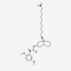 [9-(10-aminodecyl)-9-azabicyclo[3.3.1]nonan-3-yl] N-(2,5-dimethoxyphenyl)carbamate