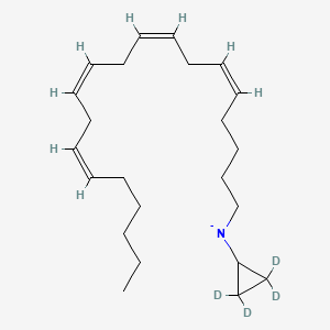 [(5Z,8Z,11Z,14Z)-icosa-5,8,11,14-tetraenyl]-(2,2,3,3-tetradeuteriocyclopropyl)azanide