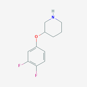 molecular formula C11H13F2NO B1343970 3-(3,4-Difluorophenoxy)piperidine CAS No. 946714-62-1