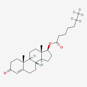 molecular formula C26H40O3 B13441881 [(8R,9S,10R,13S,14S,17S)-10,13-dimethyl-3-oxo-1,2,6,7,8,9,11,12,14,15,16,17-dodecahydrocyclopenta[a]phenanthren-17-yl] 6,6,7,7,7-pentadeuterioheptanoate CAS No. 1263095-31-3