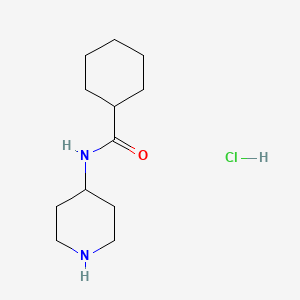 molecular formula C12H23ClN2O B1344257 N-(哌啶-4-基)环己烷甲酰胺盐酸盐 CAS No. 41823-26-1