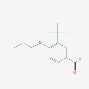molecular formula C14H20O2 B1344281 3-(Tert-butyl)-4-propoxybenzaldehyde CAS No. 170100-75-1