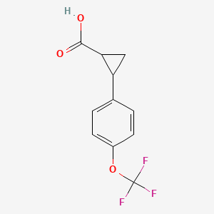molecular formula C11H9F3O3 B1344282 2-(4-(trifluoroMethoxy)phenyl)cyclopropanecarboxylic acid CAS No. 1157562-31-6