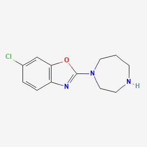 molecular formula C12H14ClN3O B1344426 6-Chloro-2-(1,4-diazepan-1-yl)-1,3-benzoxazole CAS No. 1035840-25-5